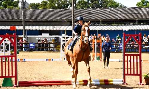 57ª Exapicor movimenta parque de exposições com esporte, agro e programação pet
